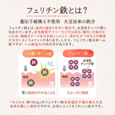 ふるさと納税 静岡市 鉄分 サプリ ルミエル 鉄 10mg フェリチン鉄 ヘム鉄 葉酸 栄養機能食品 1袋(約30日分) |  | 03