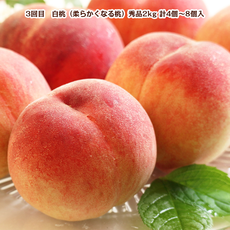 【定期便5回】冬から始まる 山形まるごと！人気の果物ベス