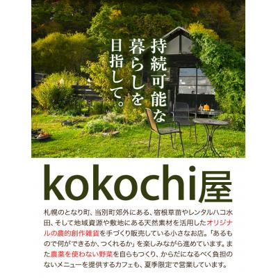 ふるさと納税 当別町 もみがらチェア【紺色】 |  | 01