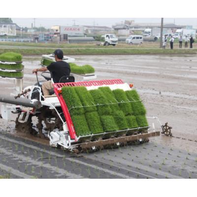 ふるさと納税 幸手市 【幸ヒカリ】栽培期間中農薬・化学肥料不使用　埼玉県幸手市産コシヒカリ玄米10kg |  | 01