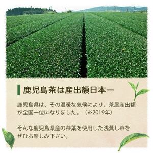 【2025年産】浅蒸し煎茶(100g×2袋)【若蒸し煎茶】【合計200g】A0-69【1611521】