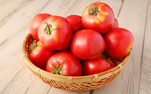 ソムリエ トマト 2.6kg とまと 野菜 やさい 熊本県産 国産 【2026年2月上旬発送開始】