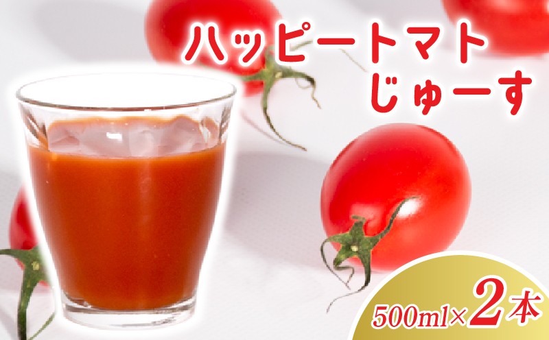 
                  ハッピートマトじゅーす 2本セット トマトジュース 500mL 無塩 無添加 無着色 高糖度 ミニトマト 濃厚 甘味 酸味 爽やか カクテル スープ リゾット パスタ 父の日 ギフト 贈り物 ラッピング のし ハッピーファーム 箱入り 安芸市 高知県
                