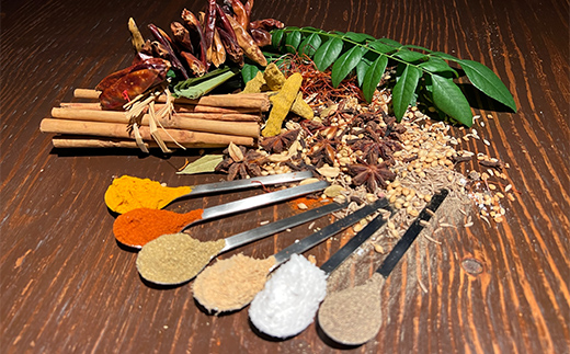 ひだまり薬膳スパイスカレー 2個ひだまり薬膳スパイスカレー 2個 冷凍 薬膳 スパイスカレー カレー スパイス デトックス 保存食 ジビエ 低糖質 ターメリックライス F4F-2881 F4F-288