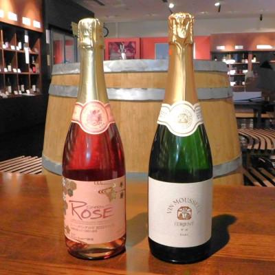 ふるさと納税 山梨県 山梨県産スパークリングワイン2本セット(ロゼ、ヴァン・ムスー甲州) |  | 01