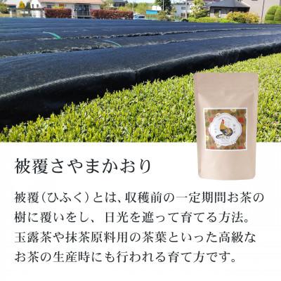 ふるさと納税 入間市 狭山茶リーフセット　ひるい(選りすぐり煎茶3種セット) |  | 03