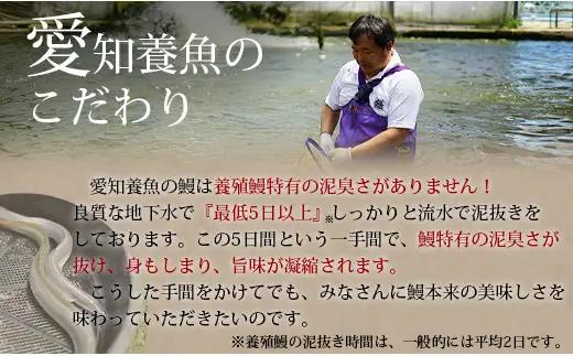 三河産うなぎ 蒲焼《超特大》3尾（合計580～600g）・A091-22-1