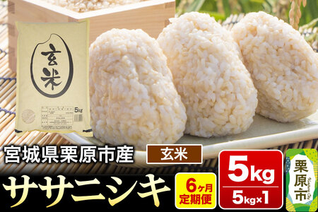 《定期便6ヶ月》【令和7年産・玄米】宮城県産 ササニシキ 毎月5kg (5kg×1袋)×6ヶ月