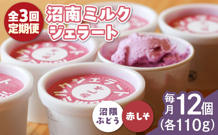 【全3回定期便】沼南ミルクジェラート 沼隈ぶどう＆赤しそ　各6個　食べ比べセット　アイス  ぶどう 赤しそ アイス アイスクリーム デザート スイーツ ご当地 広島県福山市/甚ごろう [BAEC050]