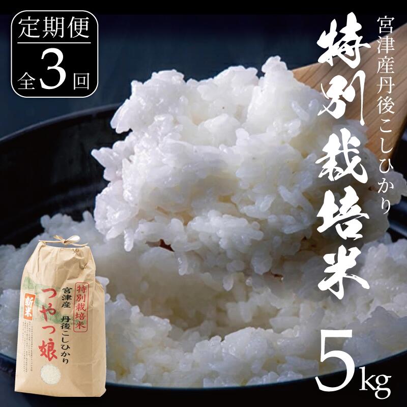 【ふるさと納税】【定期便 発送月固定全3回】令和7年産　特別栽培米　宮津産丹後コシヒカリ「つやっ娘」5kg　お届け：12月・3月・6月に発送
