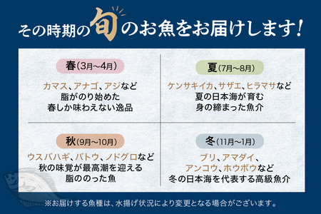 【定期便】浜田の旨い鮮魚四季のお届けコース 海鮮 海鮮 セット 【006_2056】