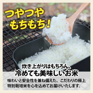 【先行予約】【3ヶ月連続お届け】【 令和8年産　新米】【農家直送】特別栽培米認証3 ミルキークイーン 玄米 5kg×1袋×3ヶ月（計15kg） 米 定期便