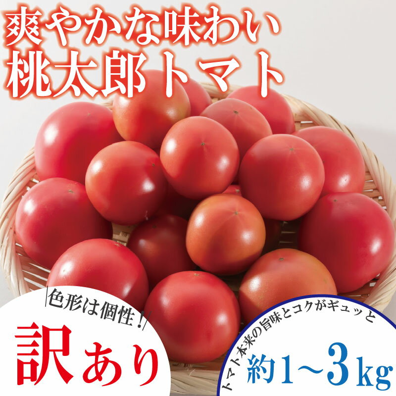 【ふるさと納税】 【訳あり】【選べるお届け月】 トマト 約1~3kg 桃太郎 先行予約 甘い 野菜 やさい 国産 産地直送 数量限定 旬 桃太郎トマト 生野菜 新鮮 ソース 調味料 ケチャップ サラダ 美容 新鮮 健康 お取り寄せ グルメ おすすめ 人気 徳島県 小松島市