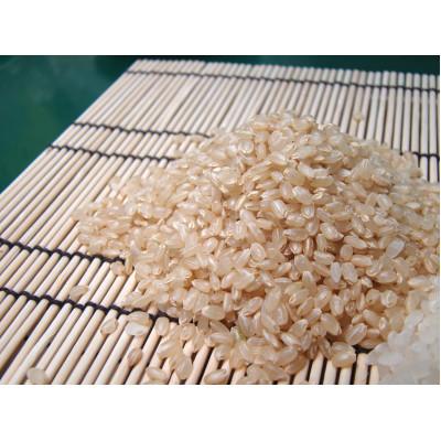 ふるさと納税 綾部市 【令和7年産】京都府産コシヒカリ　聖米(玄米)5kg |  | 01