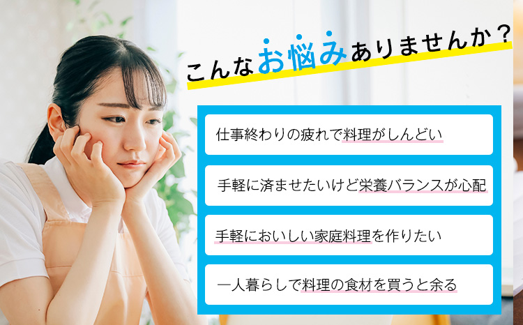 一人暮らし応援!国産黒豚100% ピーマンの肉詰めハンバーグ 1.5kg  冷凍食品 お惣菜 時短調理 1人暮らし 独り暮らし お弁当のおかず コスパ 10000円 1万円台 ワンストップオンライン申