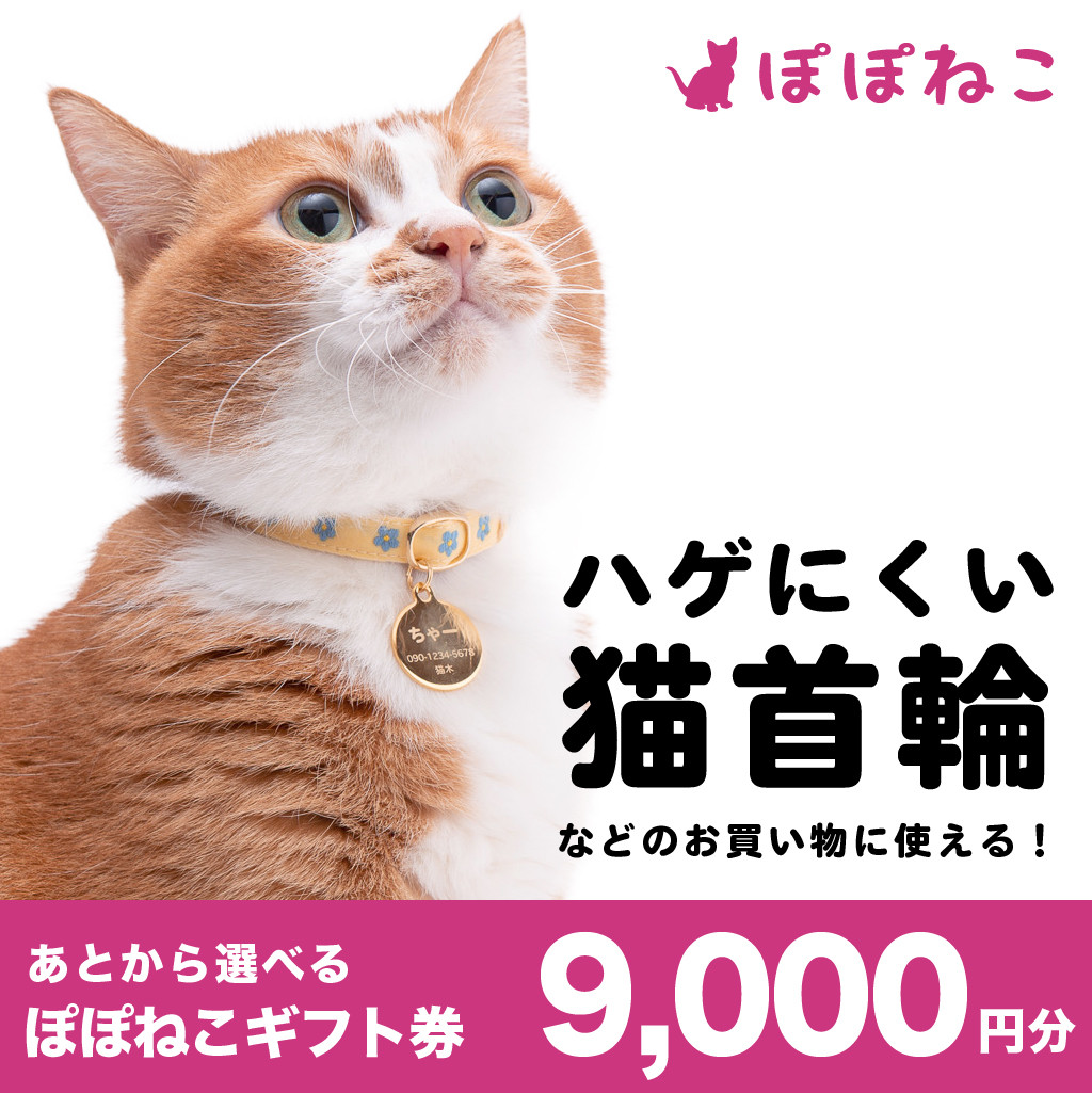 ぽぽねこ ギフト券 9,000円分（封筒タイプ）