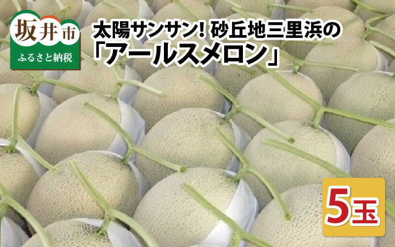 【ふるさと納税】【先行予約】太陽サンサン砂丘地 三里浜のアールスメロン5玉（1玉あたり約1.7～2.0kg）【2026年9月上旬以降順次発送予定】