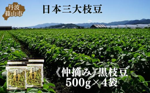 秋の味覚「丹波黒枝豆」  爽やかな旨味・500g×4袋　仲摘み 【2025年10月14～21日頃お届け予定】　プレミアム枝豆 期間限定 黒枝豆 えだまめ エダマメ お取り寄せグルメ 高級 特産品 名産品 おつまみ おうち居酒屋