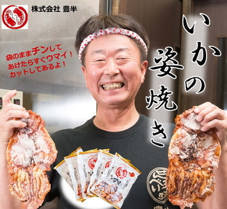 いかの姿焼き (100g×5袋) ｜イカ 烏賊 おつまみ 個包装 いか焼き おやつ 愛知県 美浜町 おすすめ ※北海道・沖縄・離島への配送不可
