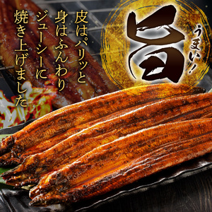 うなぎの蒲焼き2尾セット_皮はパリッと身はジューシー 鰻 蒲焼き 2尾 タレ 南九州産うなぎ こだわり製法 真空パック 冷凍 柳栄館 食品 加工品 国産うなぎ うな丼 うな重 ひつまぶし 土用 丑の日