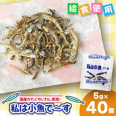 ふるさと納税 下仁田町 給食使用で安心の私は小魚でーす 5g×40個