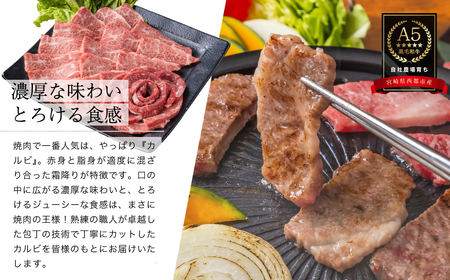 カミチクファーム　黒毛和牛カルビ焼肉　600g＜1.9-5＞