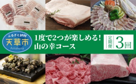 S999-T07_【定期便3回】1度で2つが楽しめる！山の幸コース