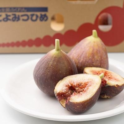 ふるさと納税 須恵町 【先行受付】福岡限定!ブランドいちじく「とよみつひめ」約300g×4パック(須恵町) |  | 01