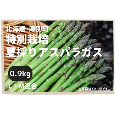 【R6年産】アスパラガス(夏採り)特別栽培　0.9kg　細川農園/010-24200-b01C