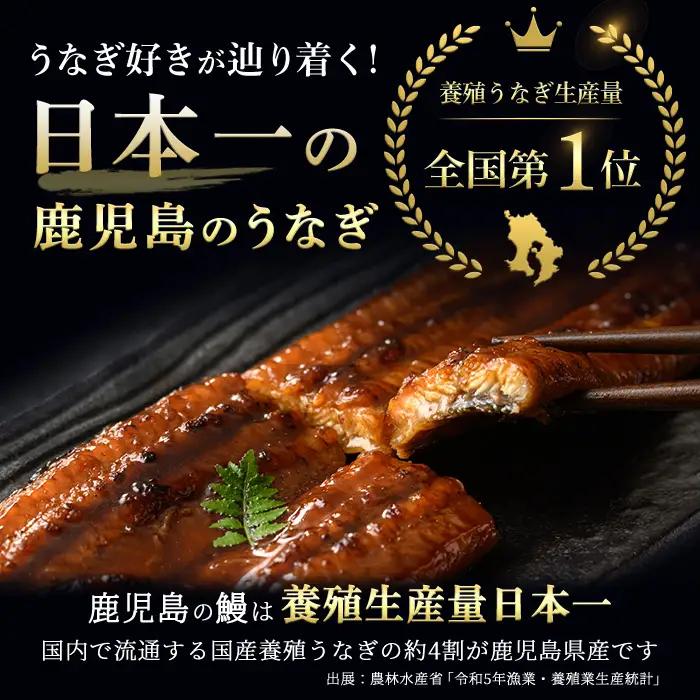 i853-B ＜定期便・計3回(隔月)＞鹿児島県産うなぎ蒲焼2尾セット＜(約140g×2・計約280g)×全3回＞うなぎ 鰻 ウナギ 2尾 蒲焼き 国産 鹿児島県産 焼きたて 生産量日本一 真空パック