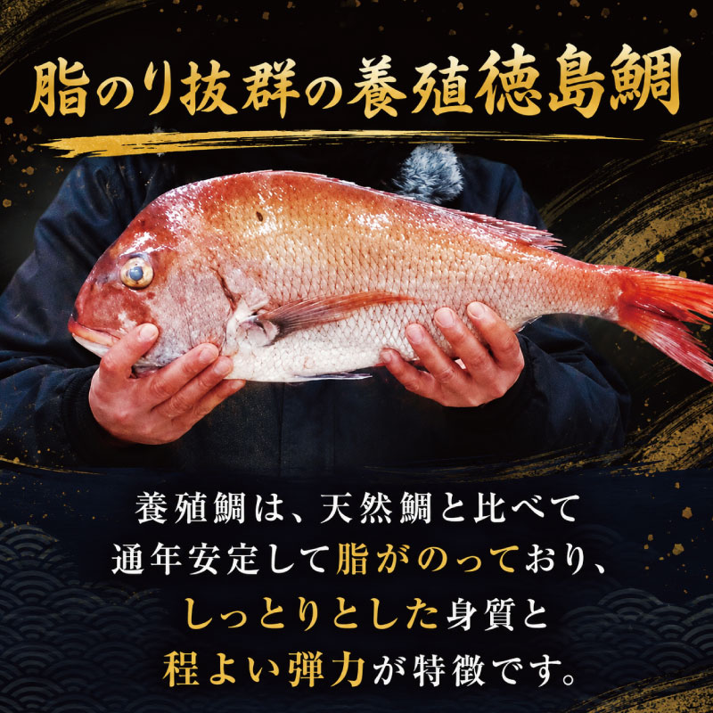 鯛 切り身 6切れ 鯛 たい 養殖 塩焼き 鯛めし 祝い鯛 アラ お頭 徳島鯛 おせち 正月 しゃぶしゃぶ 鯛しゃぶ 鍋 年末年始 徳島 鳴門 尾崎商店 【年末年始 発送対応可能です！】