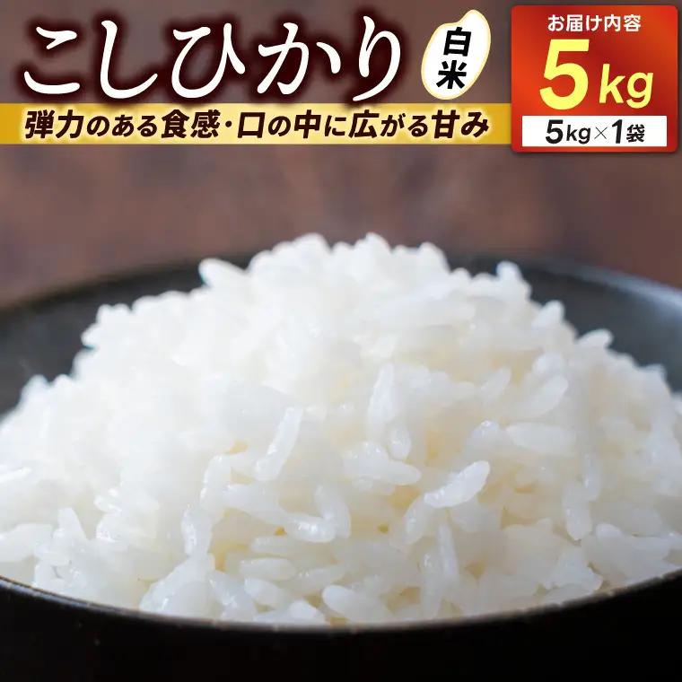 ＼新米 先行予約・12月発送 ／★令和8年産★ コシヒカリ　白米5kg (AU014-12)