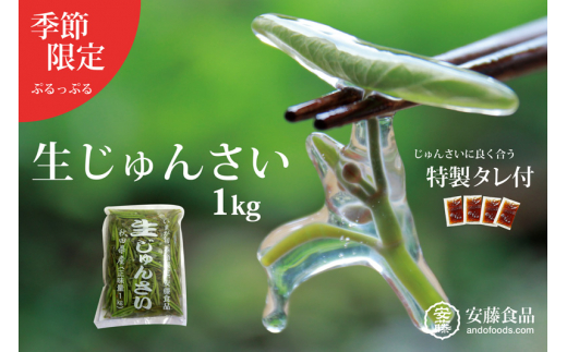 生じゅんさい1kg ゆずタレ４個 《冷蔵》（2026年5月上旬頃～7月下旬までに発送予定） 先行受付
