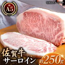 【ふるさと納税】佐賀牛 A5 サーロイン ステーキ 250g 1枚 【肉の三栄】 [HAA001]