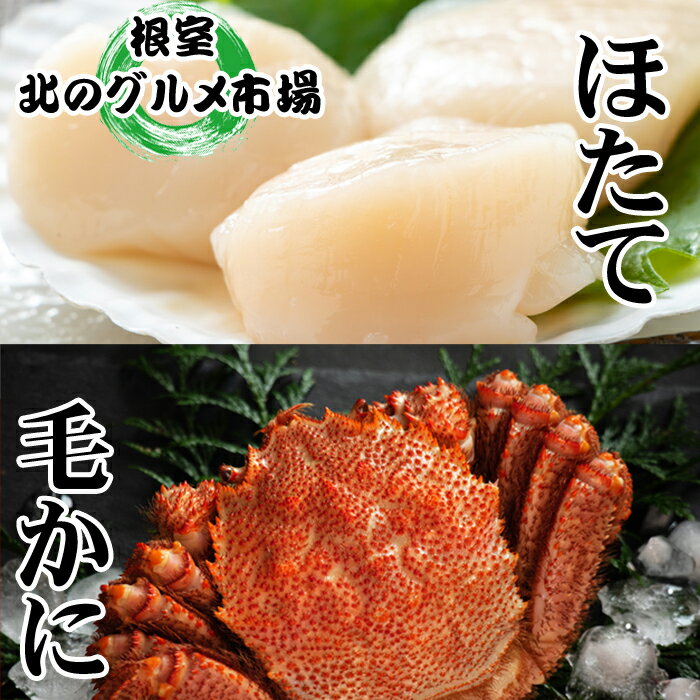 【ふるさと納税】 毛かに 400g 前後 ~ 550g 前後 × 1 尾・ほたて貝柱 200g × 1P セット ホタテ ほたて 帆立 帆立貝柱 ホタテ貝柱 貝柱 毛がに 毛蟹 けがに ケガニ かに カニ 蟹 お取り寄せ グルメ 海鮮 北海道 根室市 ふるさと納税 C-76034