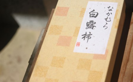 熟成 白露柿 10個 箱入り / 柿 干柿 南島原市 / 中邨[SAG006]