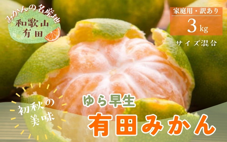 【初秋の美味】有田育ちのご家庭用訳ありゆら早生有田みかん 3kg【サイズ混合】【2025年10月上旬～10月下旬頃順次発送予定】※北海道・沖縄・離島配送不可 / みかん 果物 くだもの フルーツ 有田みかん 柑橘【ard236】