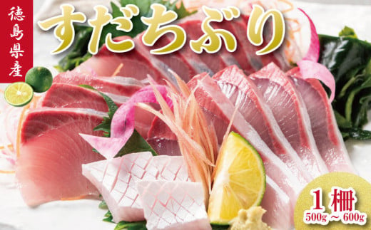 すだちぶり 柵状 500g 以上 2025年 10月から11月末まで発送 ｜ 先行予約 すだち ぶり 刺身 さしみ さかな  鰤 丼 ご飯 魚 柑橘 冷蔵 切り身 塩 焼き 産地直送 ブランド みかん