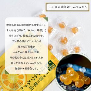 飴 はちみつみかん 10袋 静岡の恵みシリーズ 三ケ日の里山 はちみつ みかん あめ アメ 個包装 おかし お菓子 おやつ 静岡県 藤枝市 甘信堂製菓 ( 飴 菓子 ｷｬﾝﾃﾞｨｰ 飴 菓子 ｷｬﾝﾃ