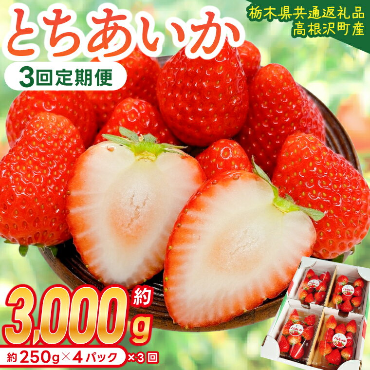 【ふるさと納税】【先行予約】【3回定期便】栃木県産 とちあいか 合計3,000g (250g以上×4パック×3回) 農家直送 家庭用 和饗エコファーム【栃木県共通返礼品/高根沢町産】｜定期便 栃木県 ふるさと納税 いちご イチゴ 苺 旬 果物 フルーツ とちあいか(DW002)
