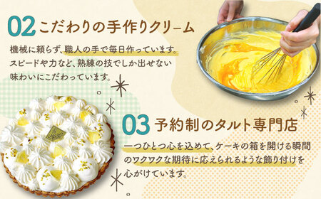 【2026年4月〜発送】チョコミントのタルトケーキ [SAA027] ケーキ