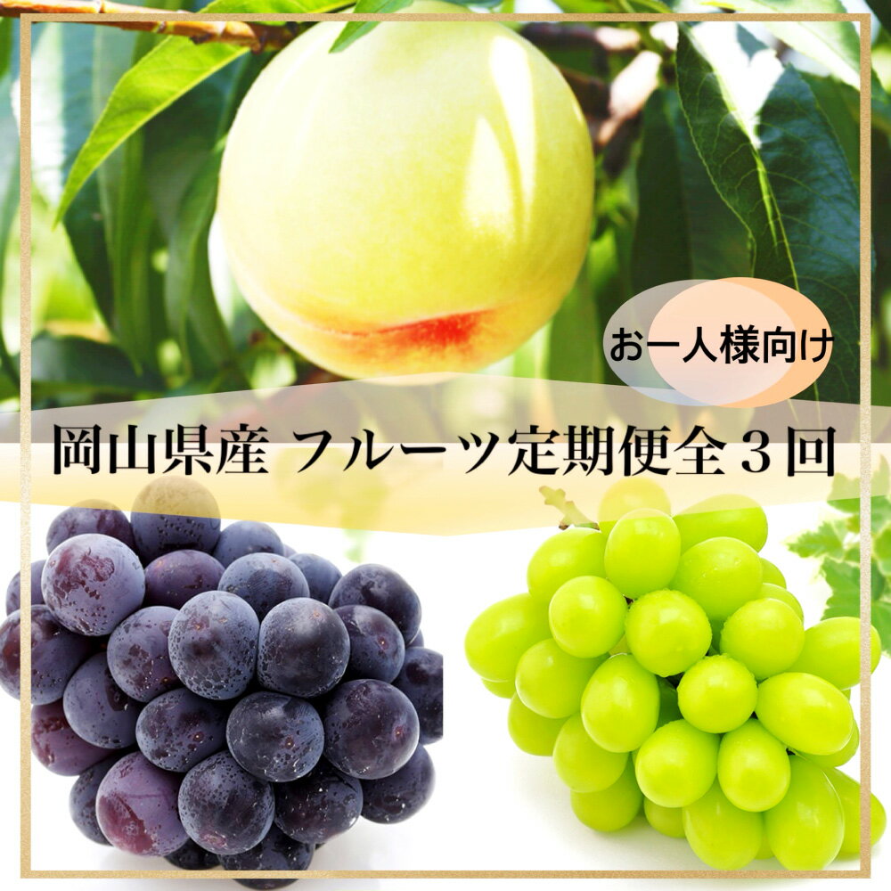 【ふるさと納税】【全3回定期便】岡山県産 フルーツ定期便 ＜お一人様向け＞ 岡山白桃 ニューピオーネ シャインマスカット晴王 白桃 桃 もも モモ ぶどう ブドウ 葡萄 フルーツ くだもの 果物 果実 冷蔵 国産 岡山県 奈義町 送料無料 【2026年7月上旬～9月下旬迄発送予定】