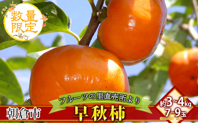 
フルーツの里の直売所より 早秋柿
