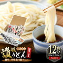 【ふるさと納税】本場讃岐うどん ＜つゆ付＞＜半生・純生 食べ比べ＞「二番・純生半生うどん食べ比べセット」12食分 (合計1.4kg) 本場 讃岐 讃岐うどん さぬき 香川県 小麦 麺 老舗 粉問屋 釜玉 醤油 ぶっかけうどん 釜揚げ 名産品 コシ セット 饂飩【man017】【岡坂商店】