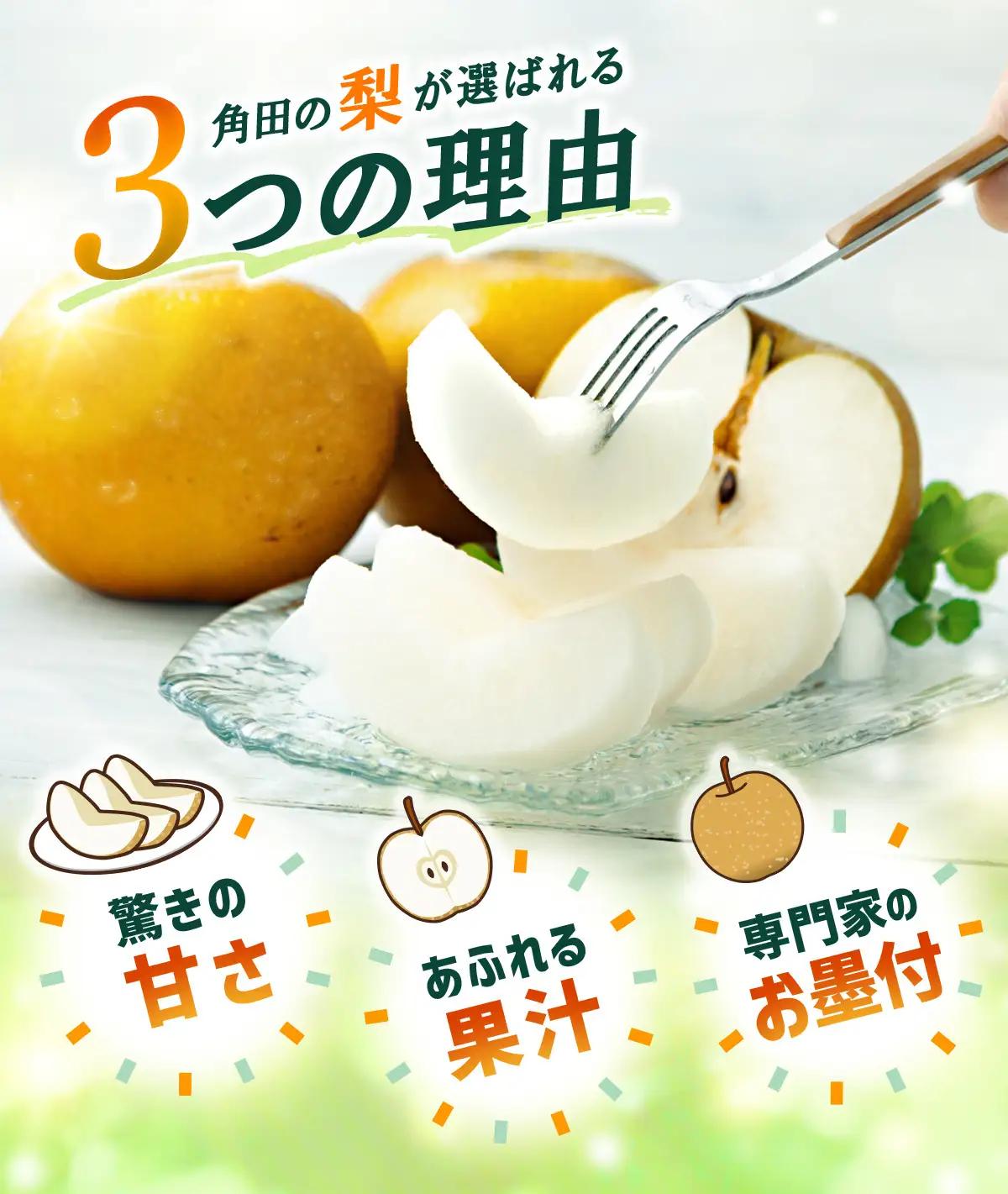 【2026年発送】梨「あきづき」約3kg（5～6玉入）【松崎果樹園】 ｜ 梨 