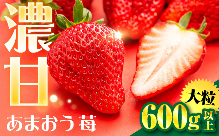 
            【化粧箱】あまおう いちご600ｇ以上 糸島市 / 株式会社フルコンス [ALO001]
          