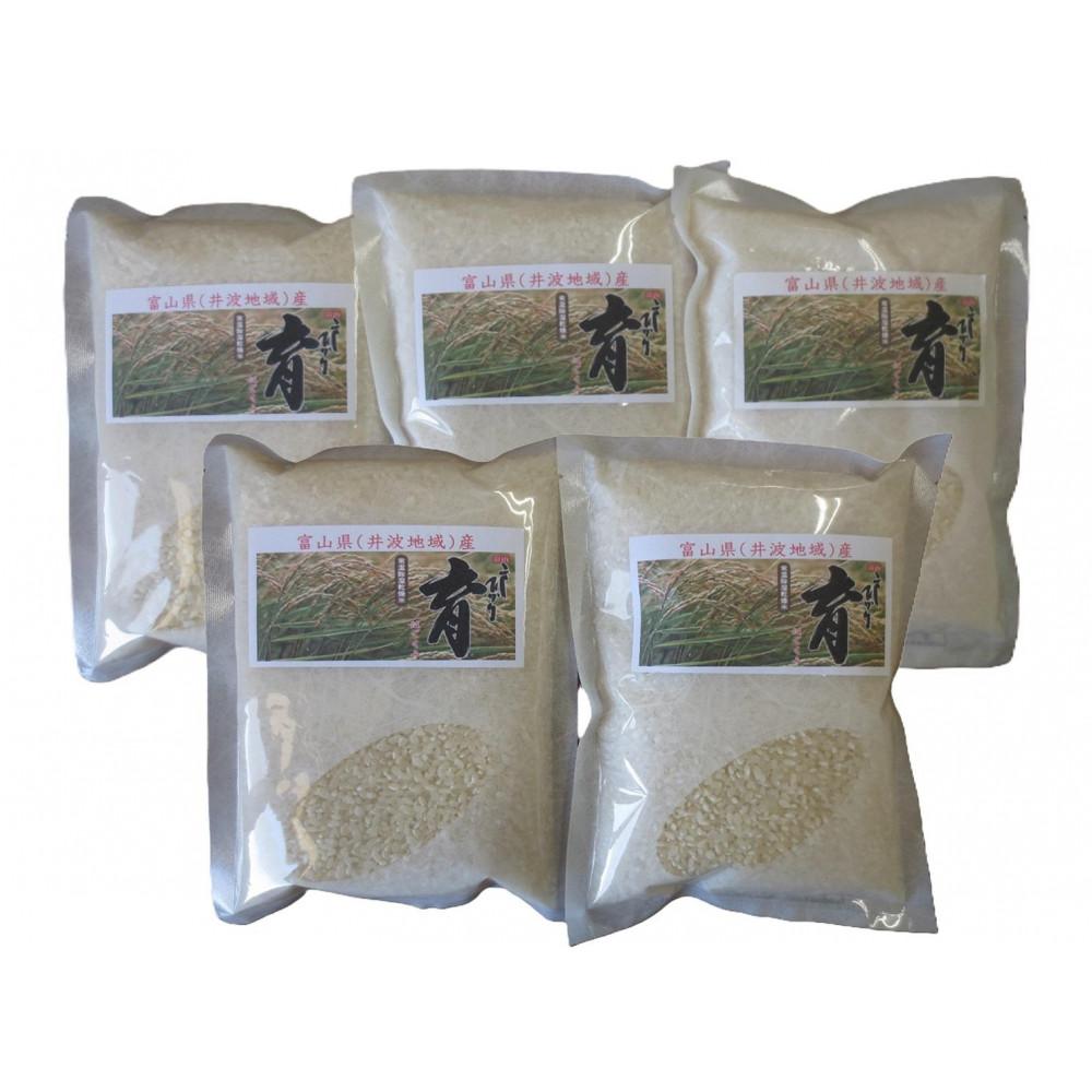 【ふるさと納税】【令和7年産】使いきりパック 富山県産こしひかり 　育（はぐくみ） 白米300g（2合）5個セット《南砺の逸品》 | お米 こめ 白米 食品 米 パン 米 こしひかり 富山県産 使いきり パック