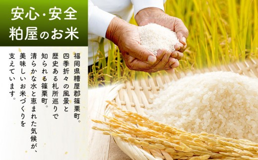 令和7年産 かすやそだち米「夢つくし」精米 5kg｜福岡県産 ブランド米 白米 お取り寄せ ごはん 人気 高評価 九州米【KN001】