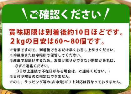 《2024年6月下旬～発送》【先行予約】こだわりの青切りシークワーサー 2kg 約40〜60個 TF-8
