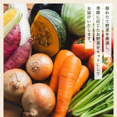 ふるさと納税 香南市 野菜 定期便 人気 3回定期便 やさいBOX(7種類前後) やすらぎ市 産地直送 Wyr-0035 |  | 02